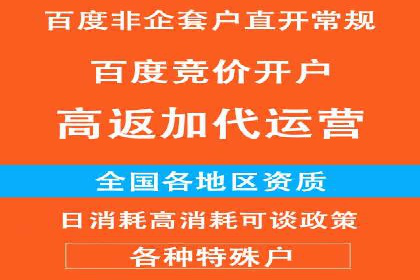创新引领者：某信息流广告公司的技术突破案例